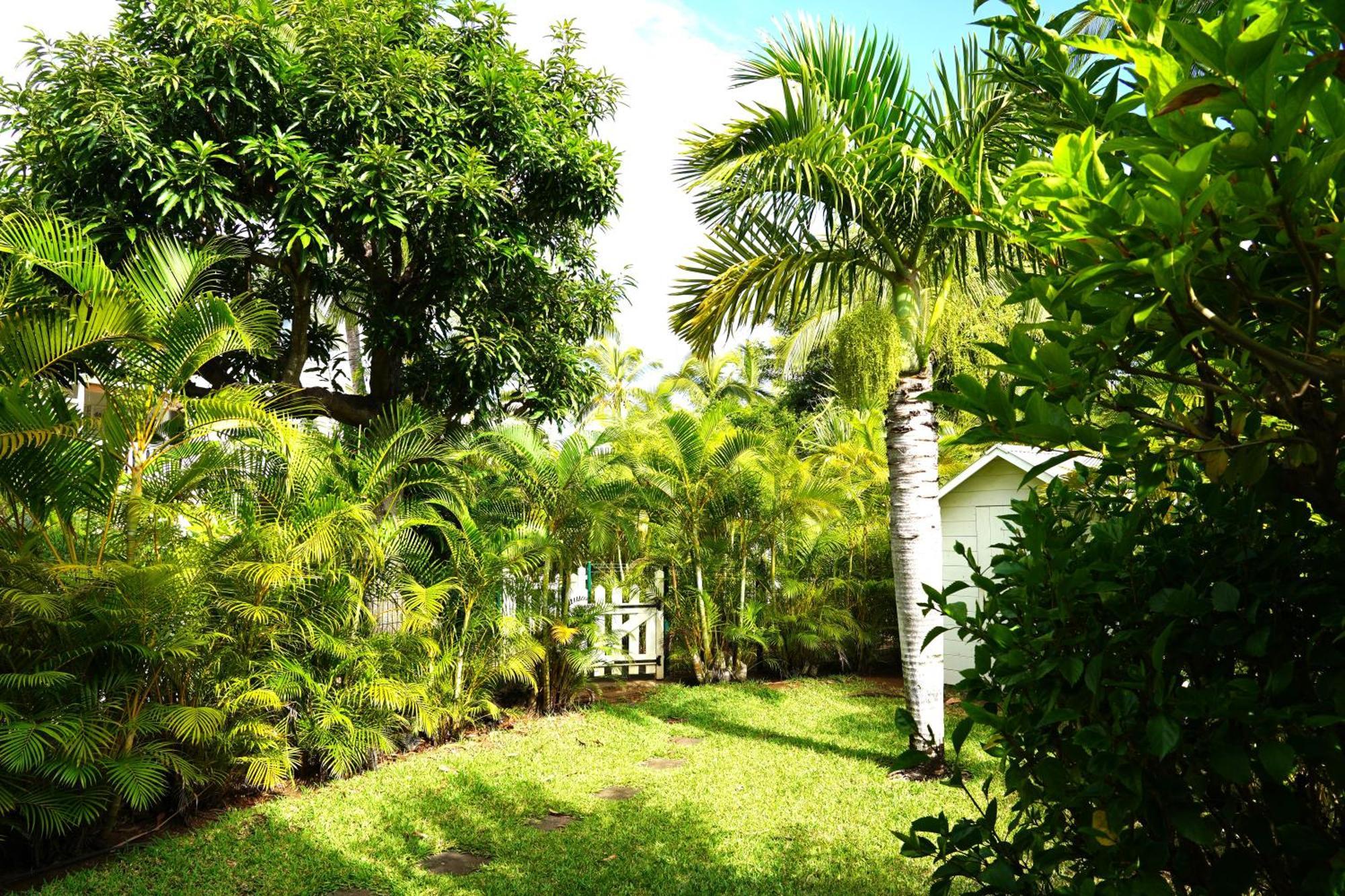 Dodo Coconut Lagon Ermitage Saint-Gilles-les Bains Bagian luar foto
